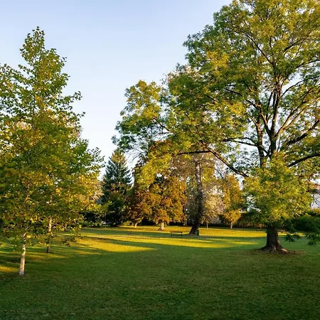 U Jirika Apartment Poděbrady