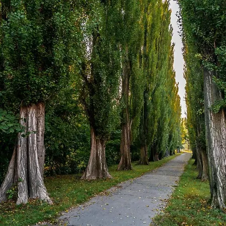 U Jirika Apartment Podebrady