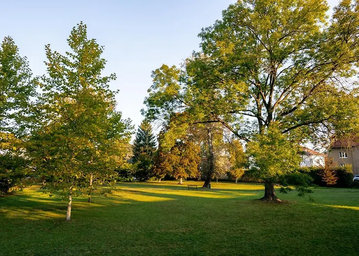 U Jirika Apartman Poděbrady