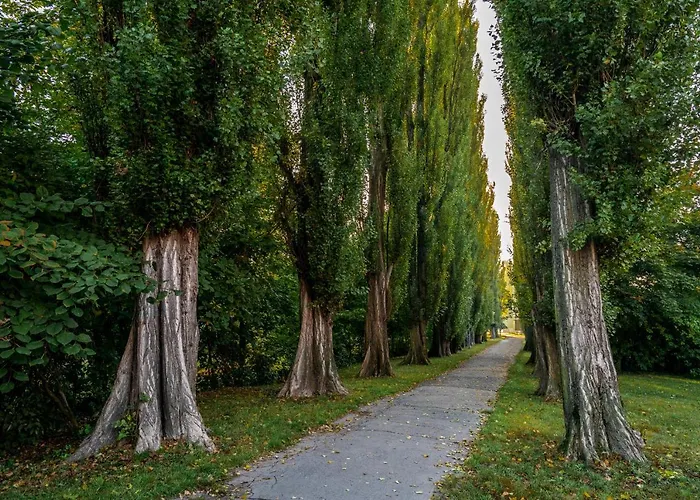 U Jirika Apartman Poděbrady